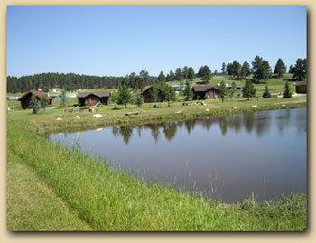 Gold Camp Cabins Custer Esterno foto