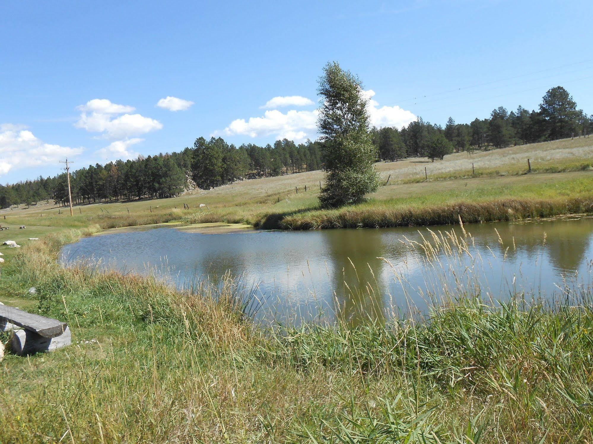 Gold Camp Cabins Custer Esterno foto